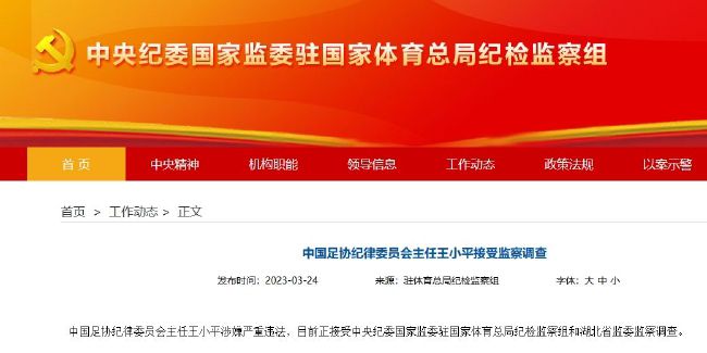 91精品国产蜜桃臀在线观看